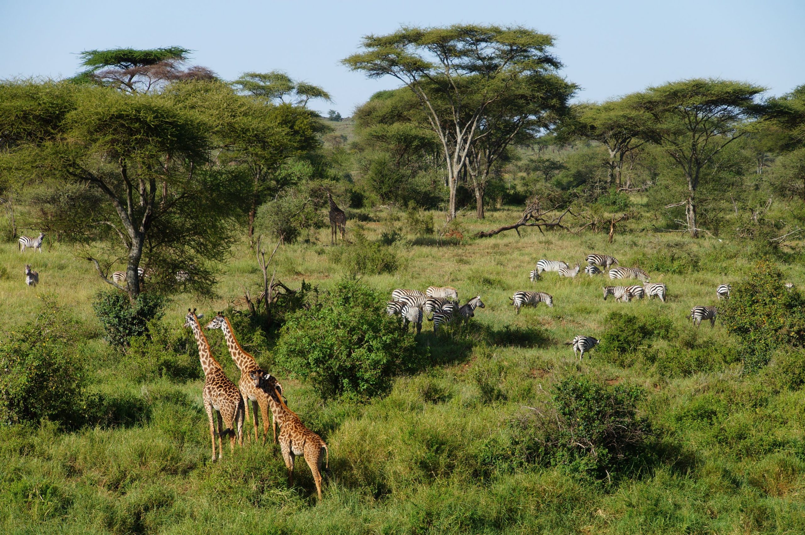 Tailor-Made Tanzania