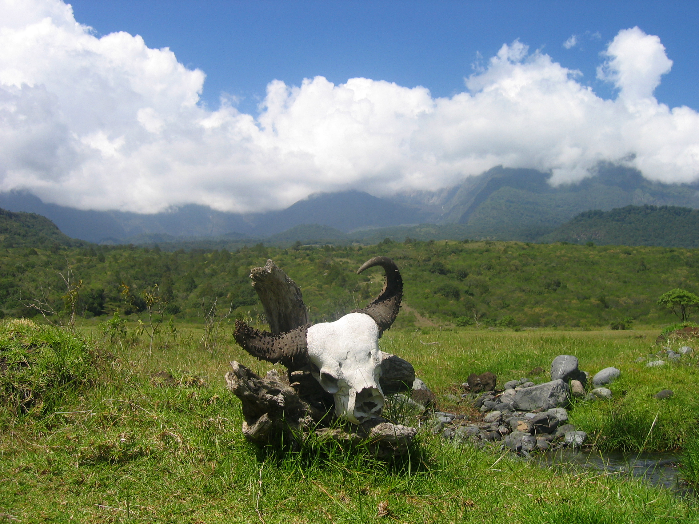 Arusha National Park