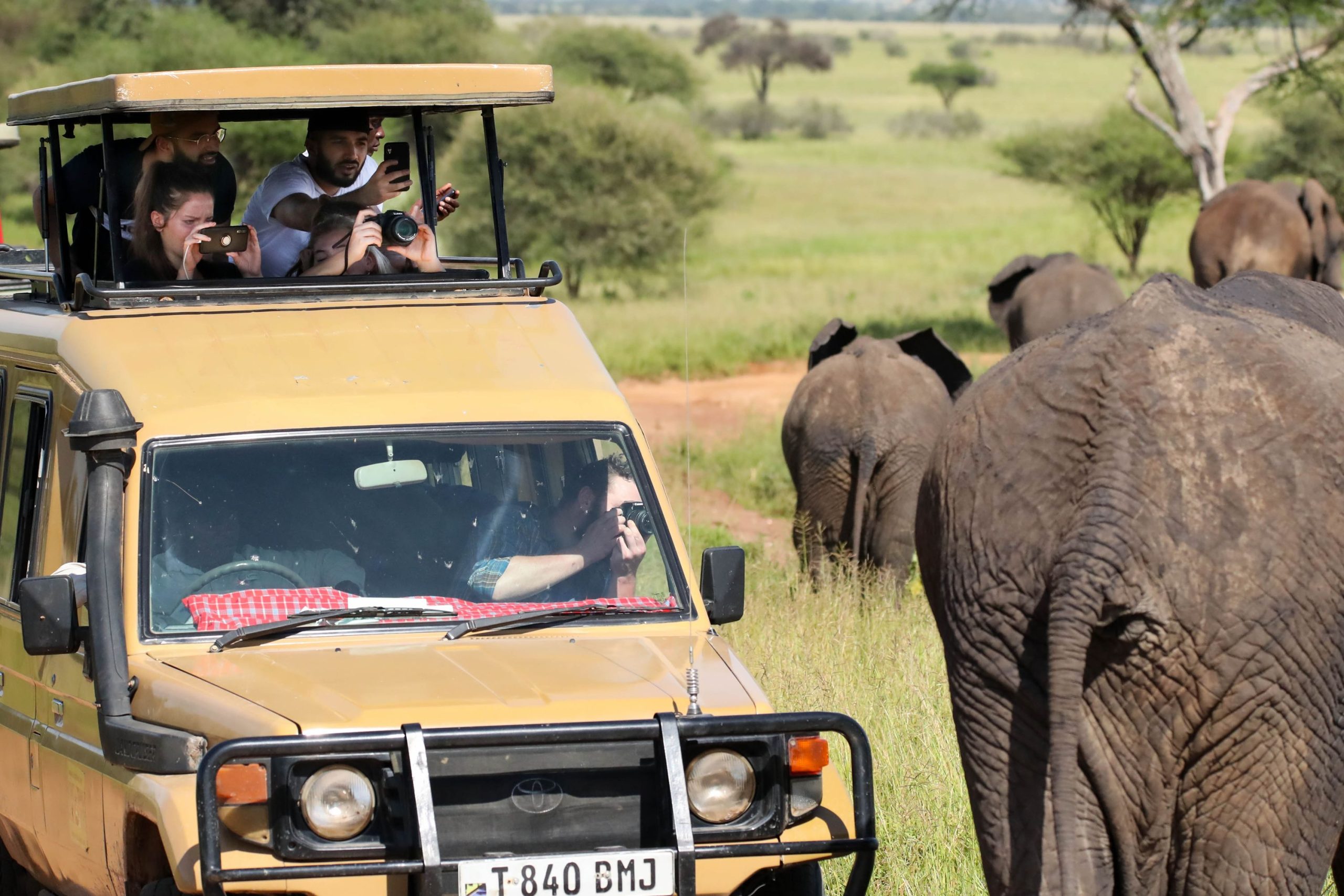 Northern Tanzania Wildlife Escape