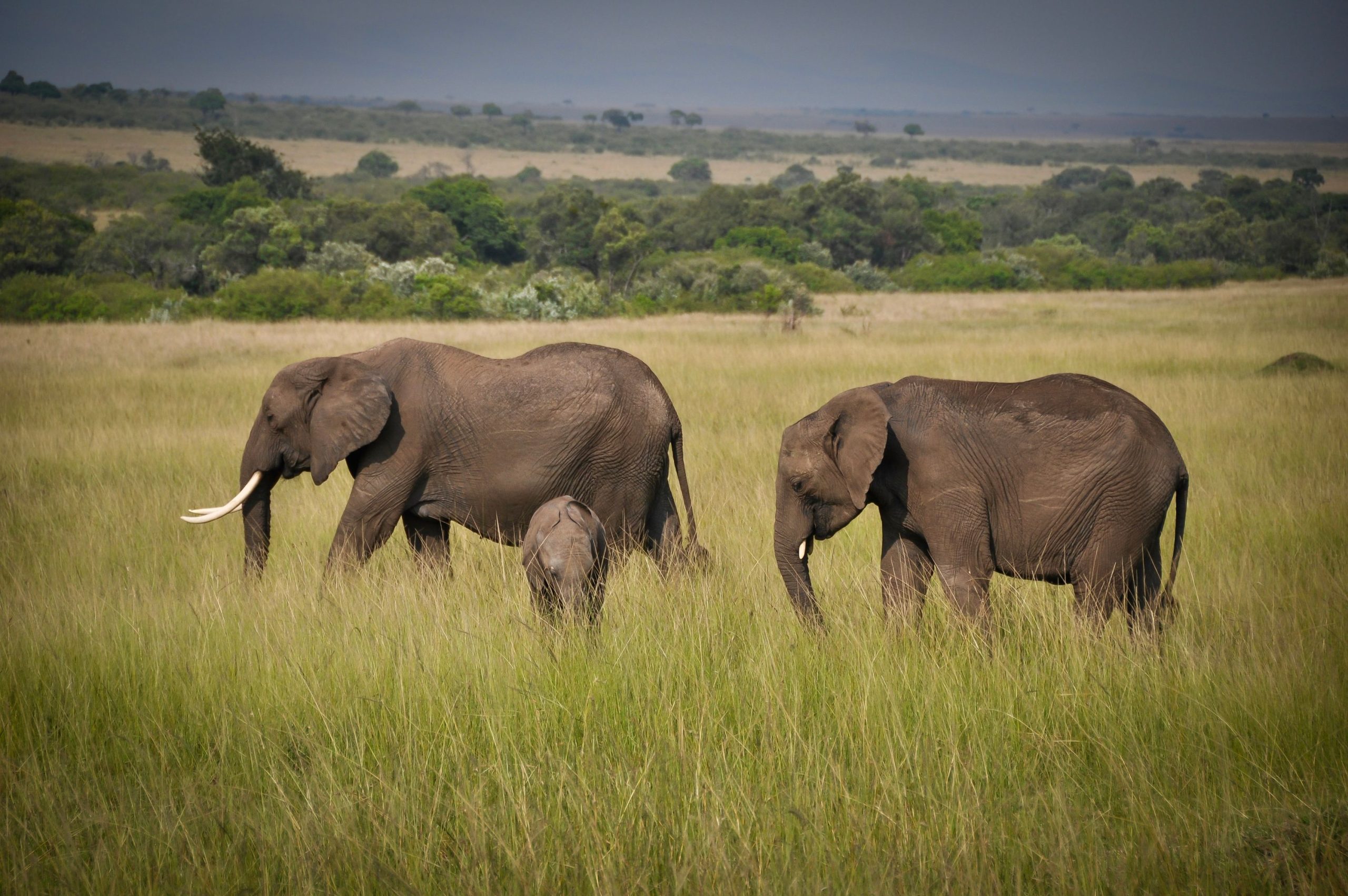 Serengeti National Park