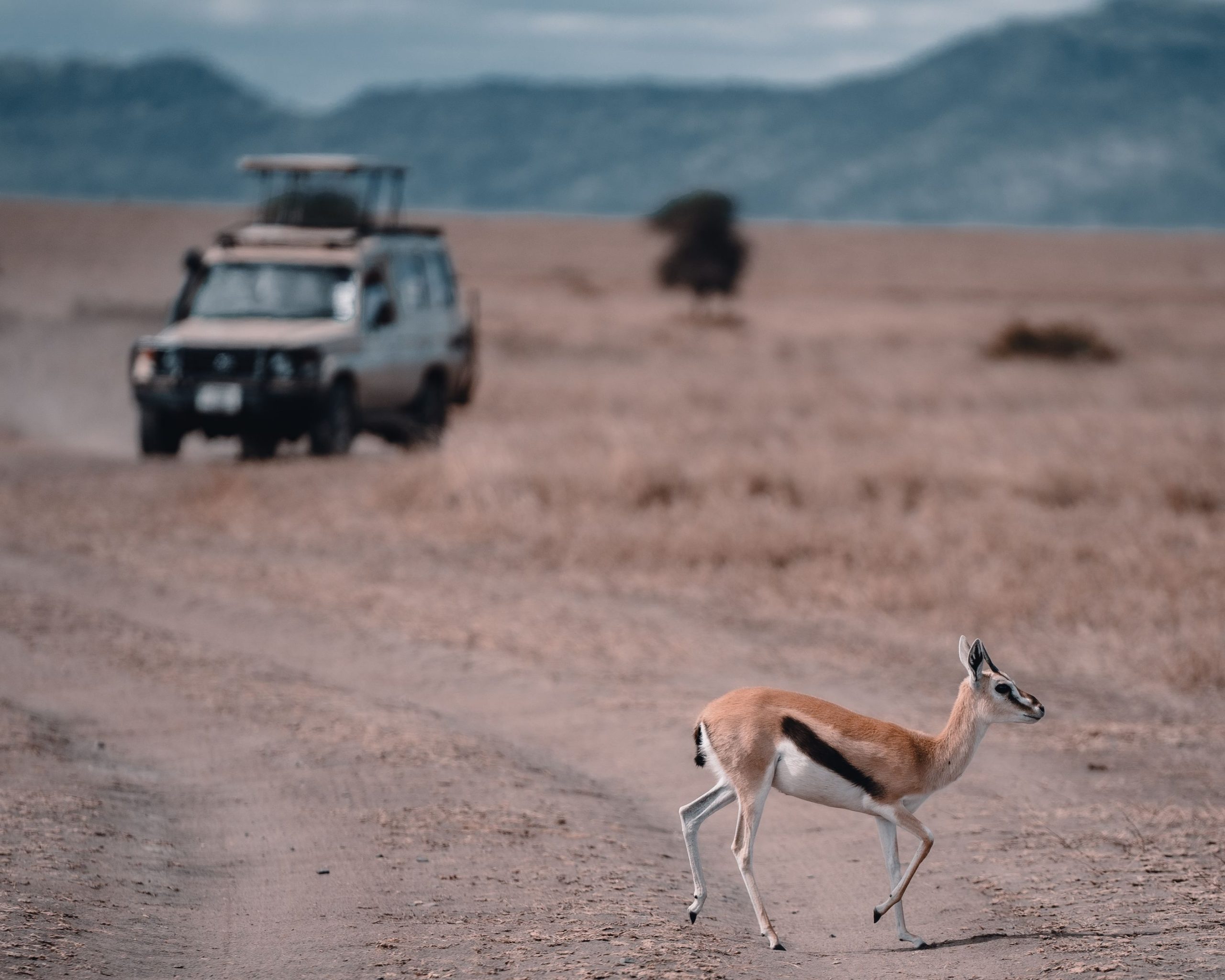 Ngorongoro Conservation Area