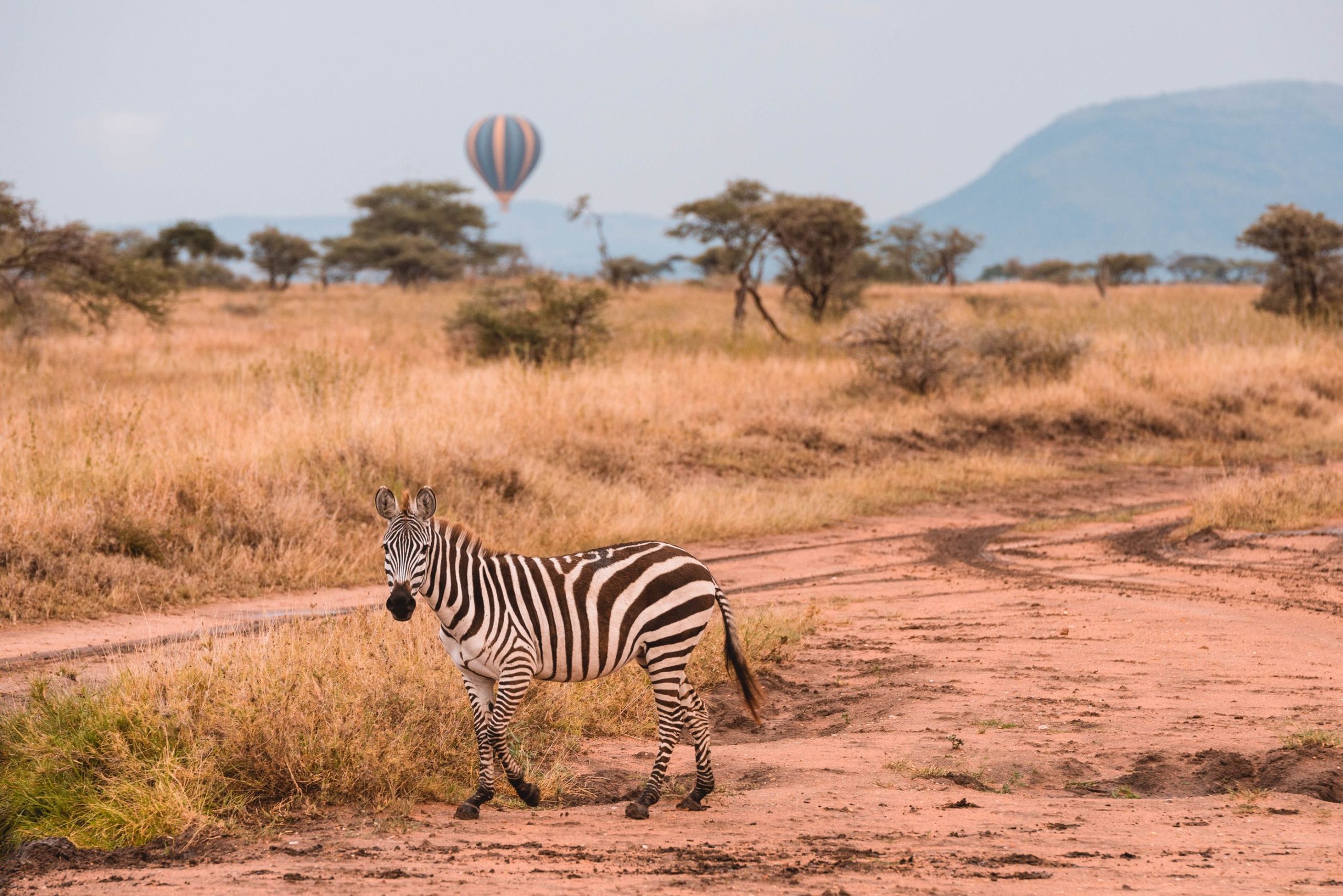 Tarangire National Park
