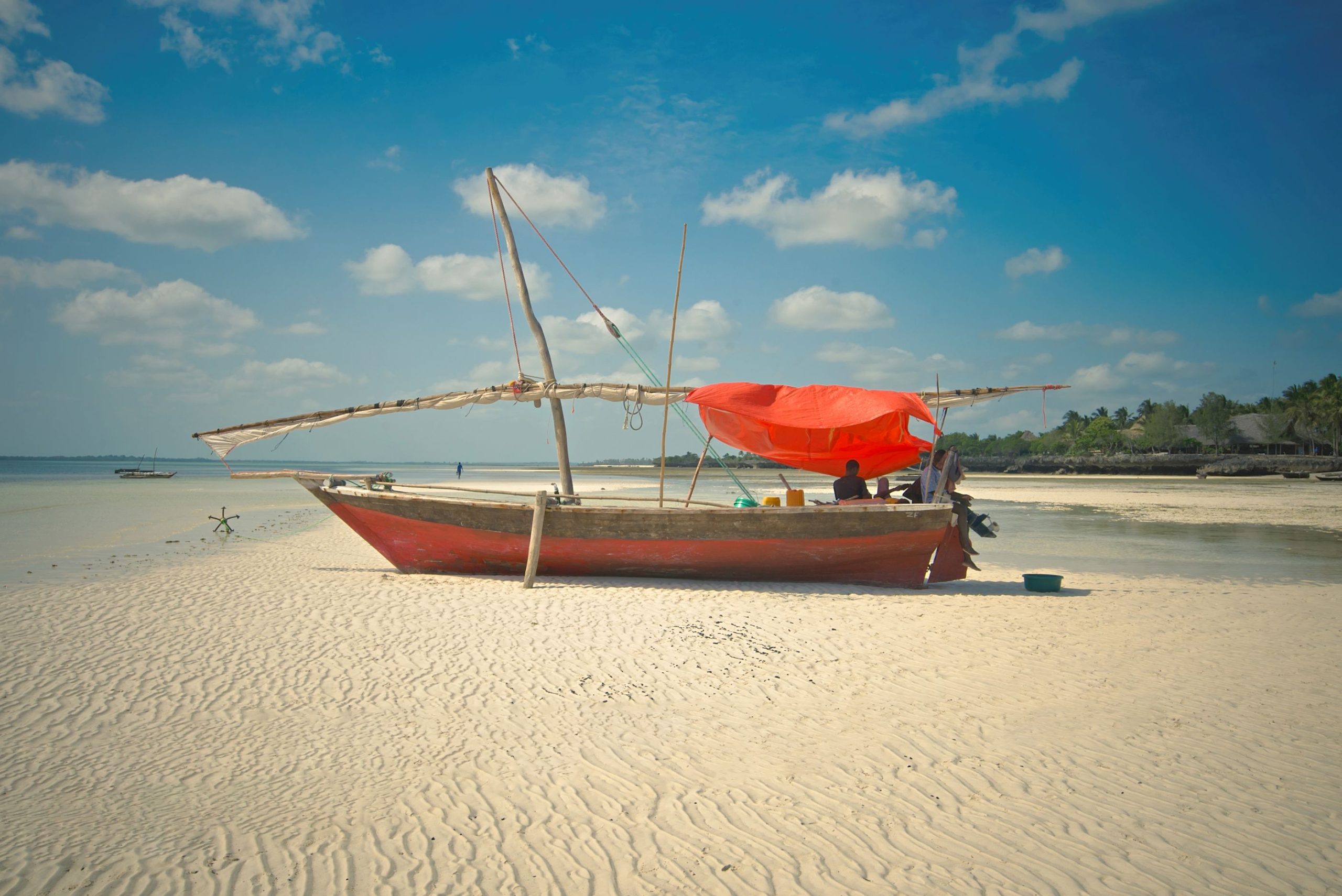 Safari & Zanzibar